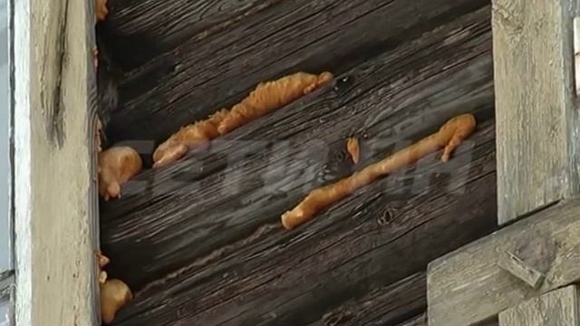 Жизнь на 20 квадратных метрах. смотреть онлайн