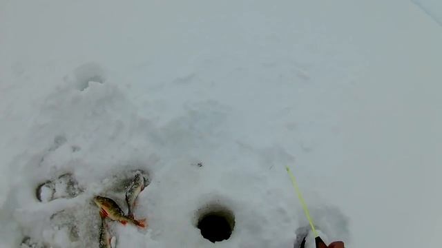 Зимняя рыбалка. Озеро Кубенское смотреть онлайн