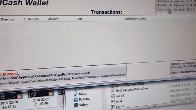 ZEN Swing Wallet wont open errors fix reindex смотреть онлайн