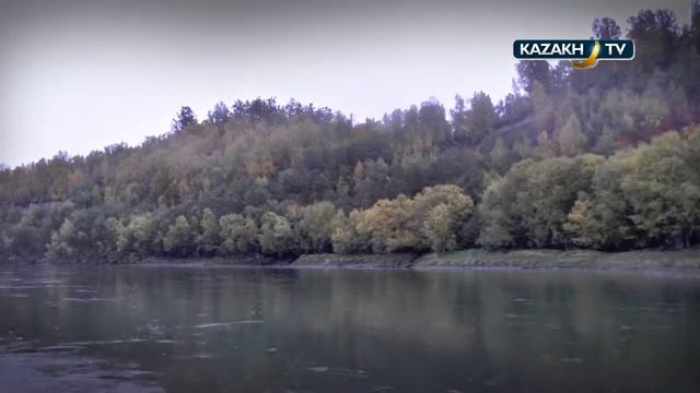 The hunt for Kamchatka bear смотреть онлайн