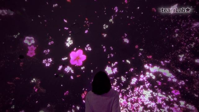 Floating in the Falling Universe of Flowers смотреть онлайн