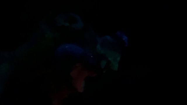 The Little Mermaid: Ariel's Undersea Adventure POV (4K) - Disney California Adventure смотреть онлайн