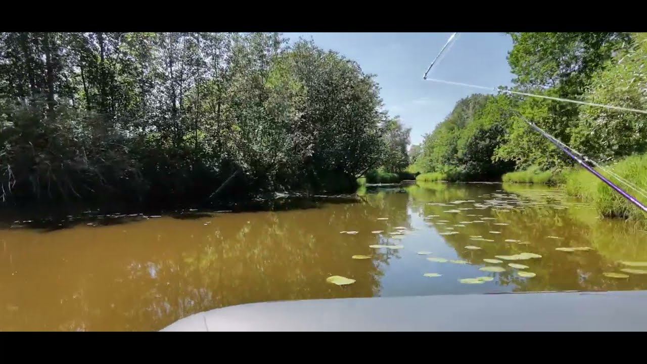 Рыбалка на Костромском море Костромка смотреть онлайн