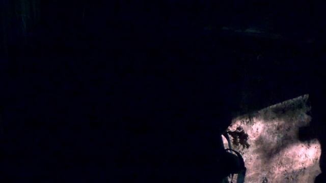 ДОЛИНА ОВРАГОВ - Строю землянку в лесу в овраге. Первая ночь в лесном доме. Лесной ручей. БУШКРАФТ. смотреть онлайн