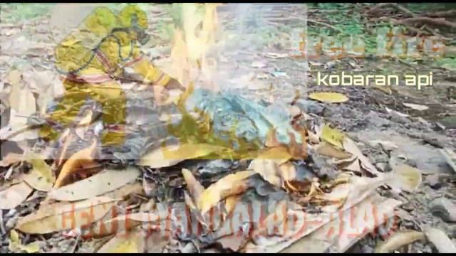 FREE FIRE exe java смотреть онлайн