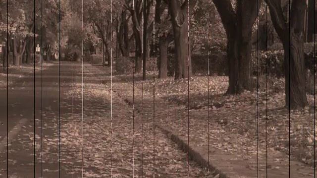 L'Automne est làs -- MANU CHAO смотреть онлайн