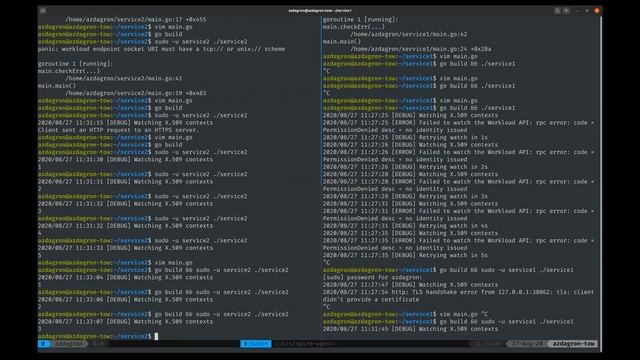 Live Coding : "Dial-tone" Authentication for App Developers Across Any Platform With SPIFFE смотреть онлайн