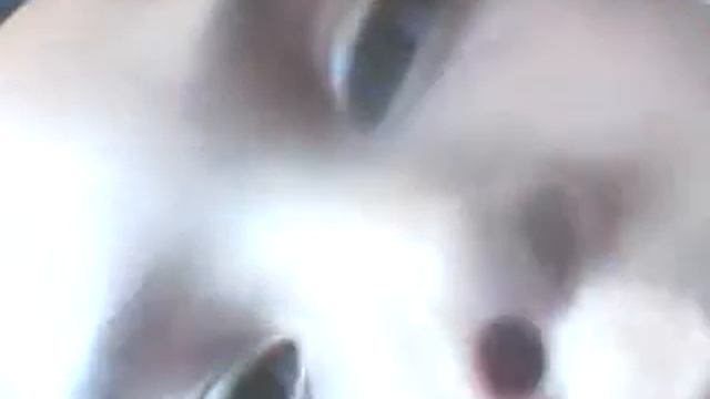 Mateus "o gato Tom" смотреть онлайн