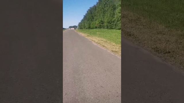 Едем в Буйничи. Рапсовое поле смотреть онлайн