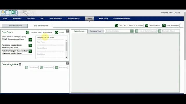 FITBIR Webstart Download Tool смотреть онлайн