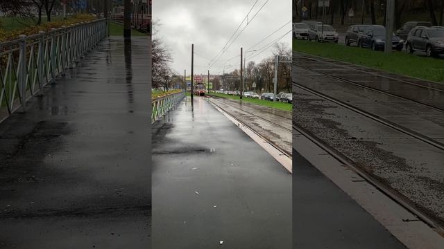 Ждем трамвай на остановке. Tram station. #трамваи #tram смотреть онлайн