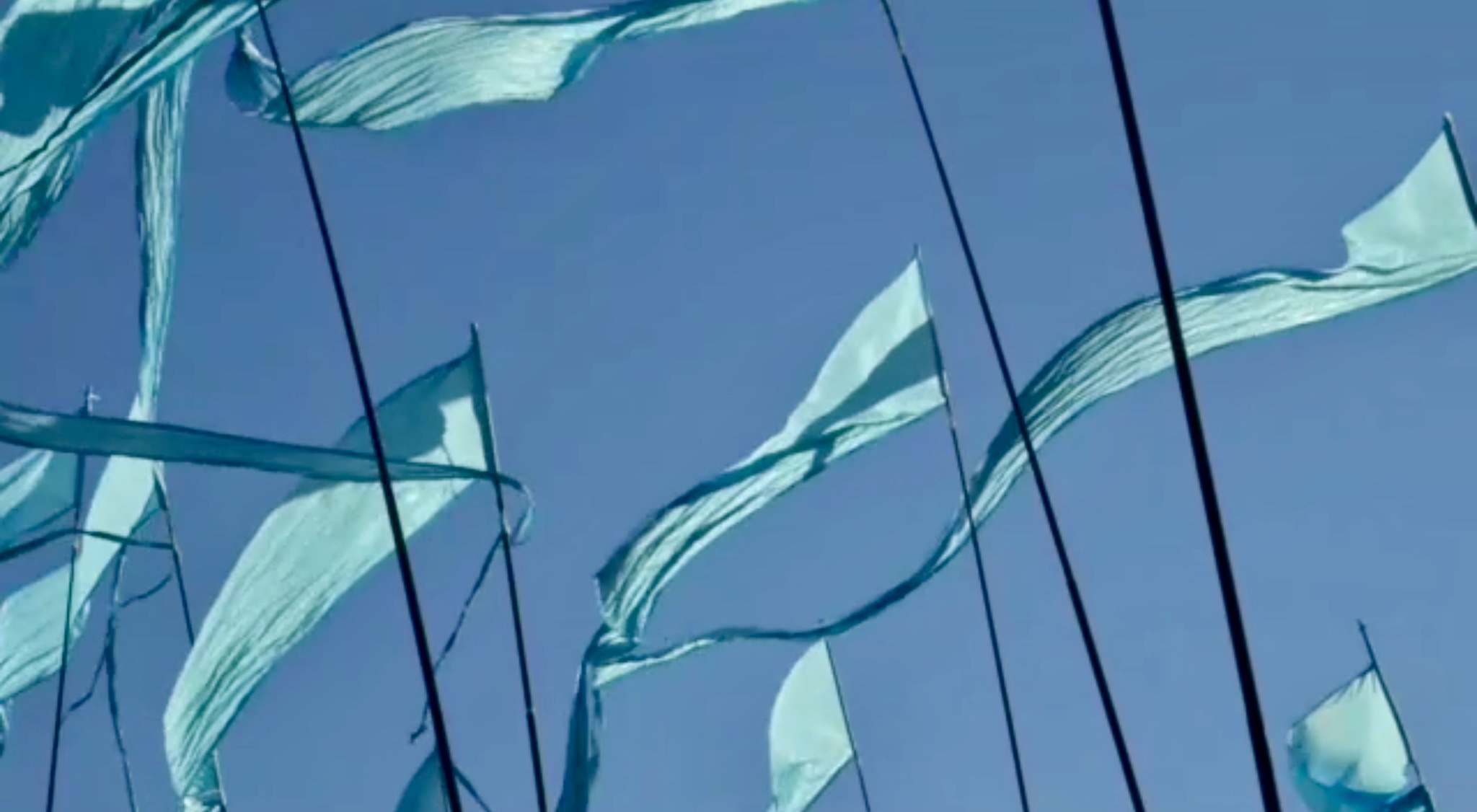 Полёты наяву.