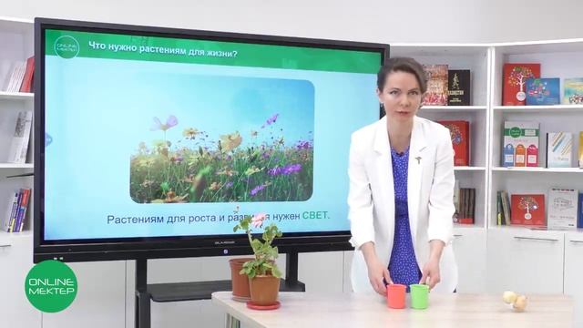 1 класс. Естествознание. 4 урок. Что нужно растениям для жизни? смотреть онлайн