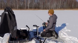 ActiveTarget 2 vs Panoptix Обзор и сравнение датчиков