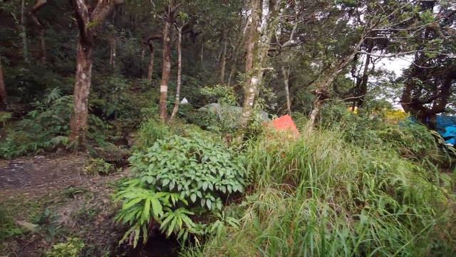 WILDTRAVLER KHAO PHANOM BENCHA NATIONALPARK EXTREAM HIKING TRIP SLEEPING HAMMOCK ??? смотреть онлайн