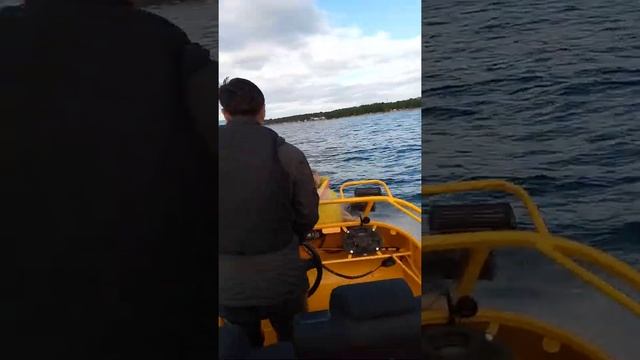 Горячинск ,Черепаха ,центральный пирс ,Казачий Стан !!!