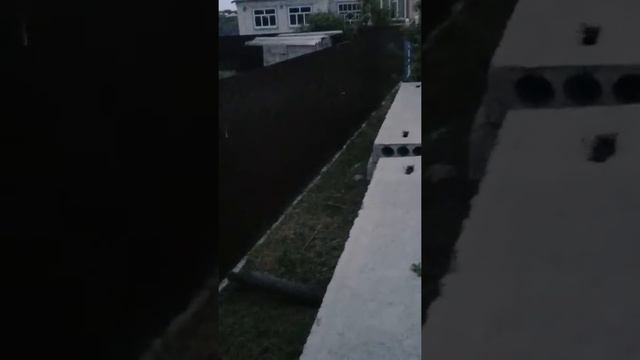 Болотное чудовище смотреть онлайн