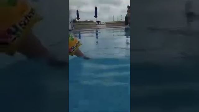 Считаем и веселимся в бассейне. Albatros Palace Sharm смотреть онлайн