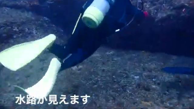 与那国海底遺跡ツアー смотреть онлайн