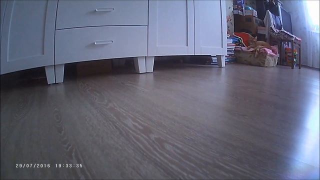 Робот-пылесос ездит по квартире  |  снято на Action-камеру