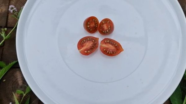 Красивый и вкусный черри томат "Отборное Печенье". "Cookie Select" very tasty cherry tomato ? ???