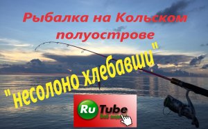 Рыбалка на Кольском полуострове. Рыбалка на поплавочную удочку. Ловля сига. Озеро Имандра.