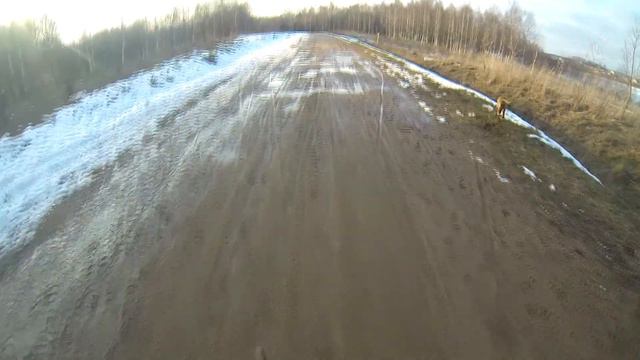 Вольный дух старый егерь смотреть онлайн