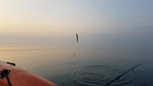 Байкал рыбалка на омуля! Мурино!