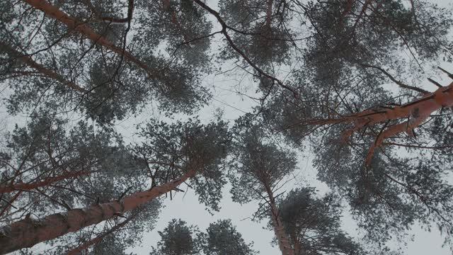 Интенсив TODES «Зимний прокач» смотреть онлайн