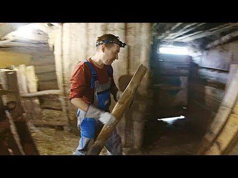 Поддержал ДУДЯ. ОСЕННИЙ САЖЕНЕЦ. Про французское ОКНО смотреть онлайн