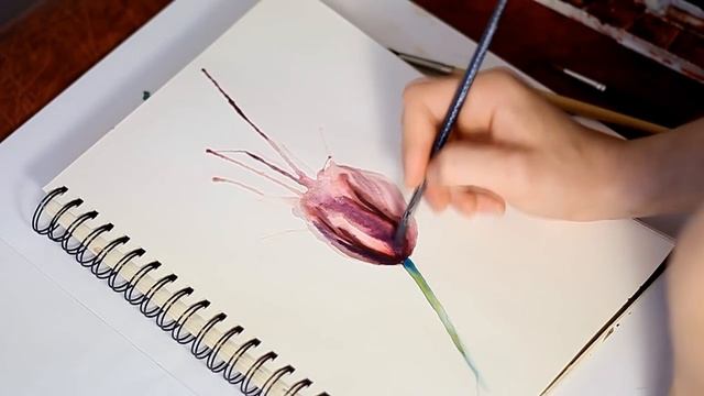 Как нарисовать цветы акварелью - Мак смотреть онлайн