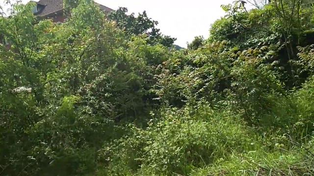 Участок 14 соток -15 000 000 руб- село Пластунка, улица Леселидзе, 53 смотреть онлайн