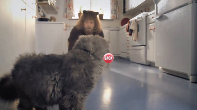 Приложите палец к точке в центре экрана и наслаждайтесь