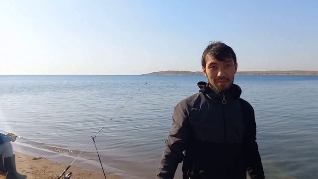 Клюёт сазан стандарт 4 кг!! смотреть онлайн
