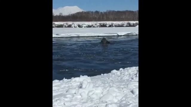 утопили снегоход смотреть онлайн