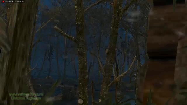 Ведьмак 3 прохождение квест хозяйки леса смотреть онлайн