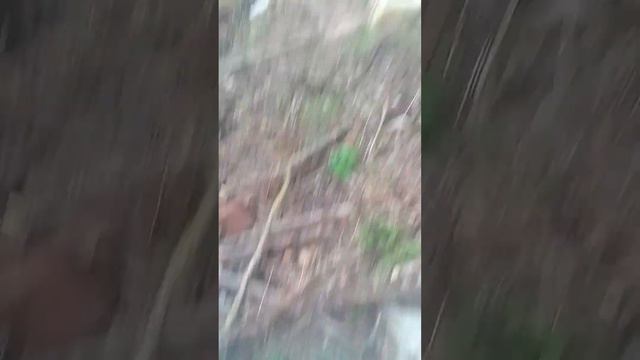 много меди.2 часть смотреть онлайн