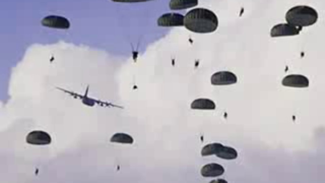 Одуванчики