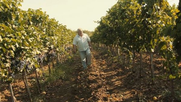 Gunko Winery commercial