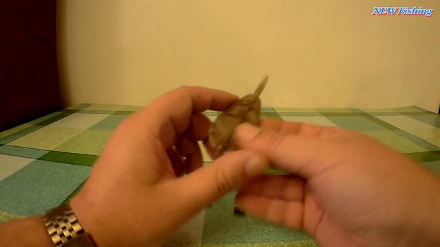 Как сделать Донную снасть на Трофейного Толстолоба смотреть онлайн