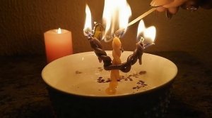 ??Привязка? Присушка? любимого?