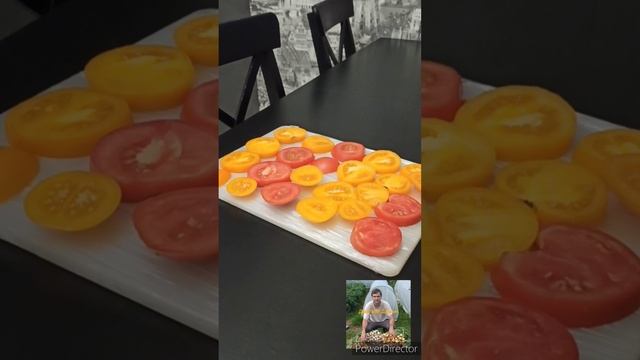 Как заморозить помидоры отдельными кусочками #shorts