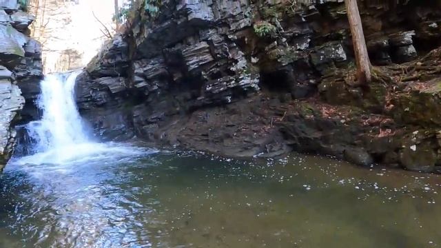 Creek Fishing With Gulp Pinched Crawler смотреть онлайн
