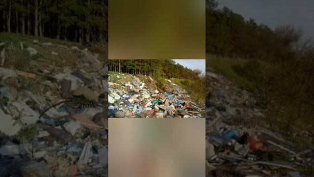 ЭКО челленндж3 смотреть онлайн
