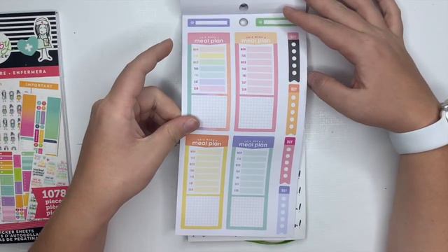 The Happy Planner Nurse, Food, Dream Seeker, and Encouragement Sticker Book Flip Through смотреть онлайн