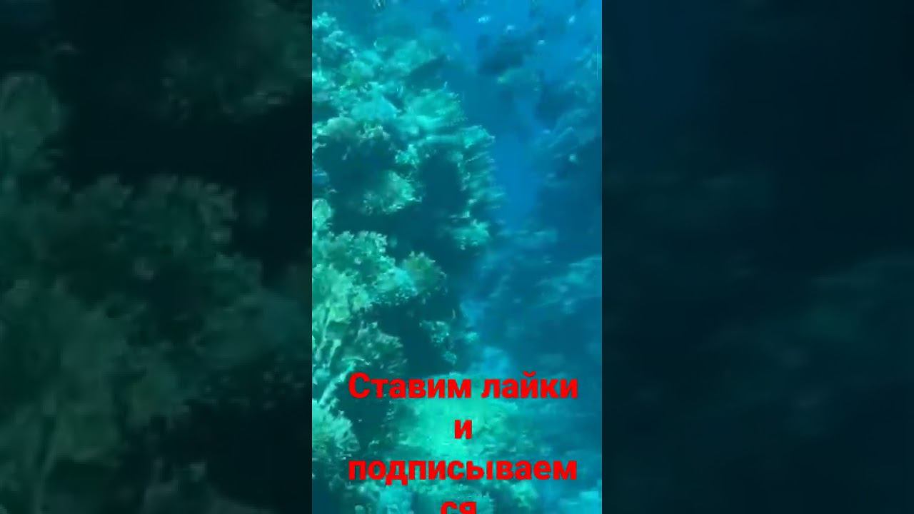 смотрим рыбак! смотреть онлайн