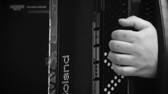 Digital Accordion Malyshev Stanislav Roland Fr8xb - Музыка для души