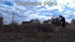 Husqvarna или Stihl? Хускварна и штиль в работе.