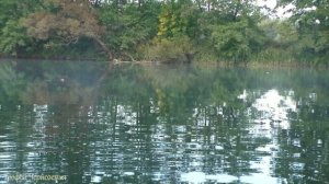 ЛОВЛЯ ОГРОМНЫХ ЩУК НА ЛЕТНИЕ ЖЕРЛИЦЫ ! Рыбалка на кружки 2023