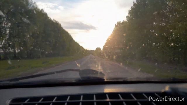 Не смог пройти мимо|Необычное приключение по дороге домой|Люди и звери|История с продолжением| смотреть онлайн